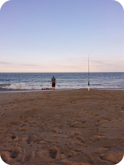 fenwick island fishing