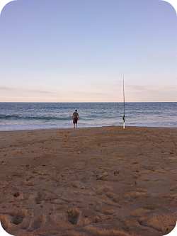 fenwick island fishing