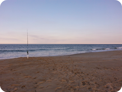 fenwick island fishing