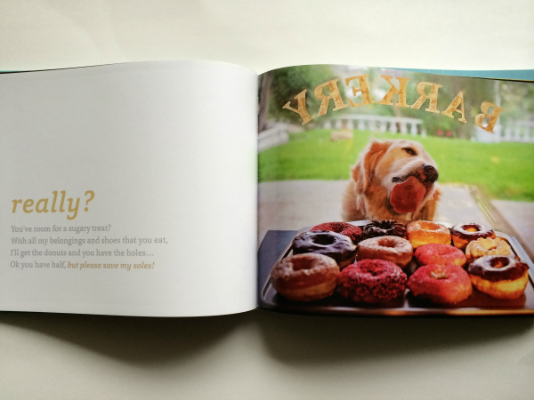 That Golden Dog (Champ) Book Review