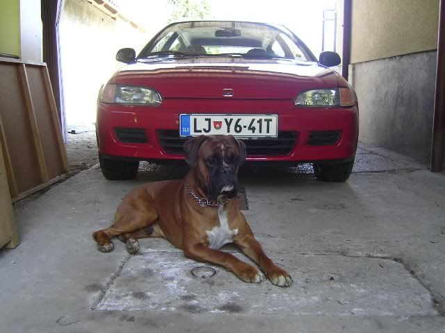 Slika