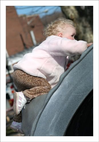 IMAGE: http://img.photobucket.com/albums/v105/totallunasea/0323069.jpg