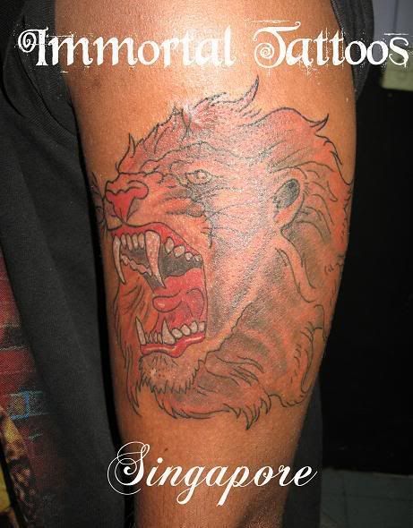 lion tattoo images. Lion tattoos have two primary