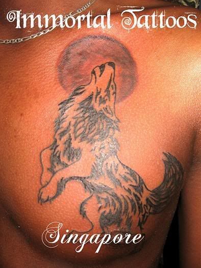 Wolf tattoos with feathers tattoo wolf indian tattoo native american indian