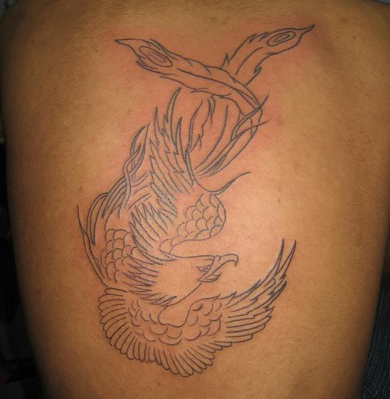 I had the chance to tattoo a phoenix on someone not long ago