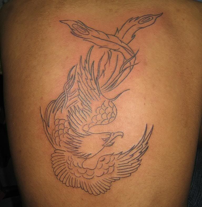 phoenix bird tattoo