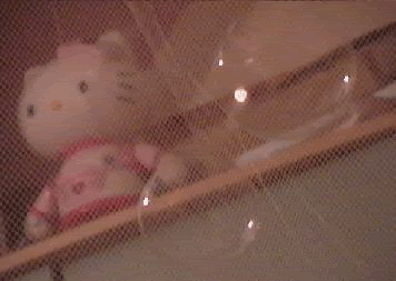 Image hosted by Photobucket.com