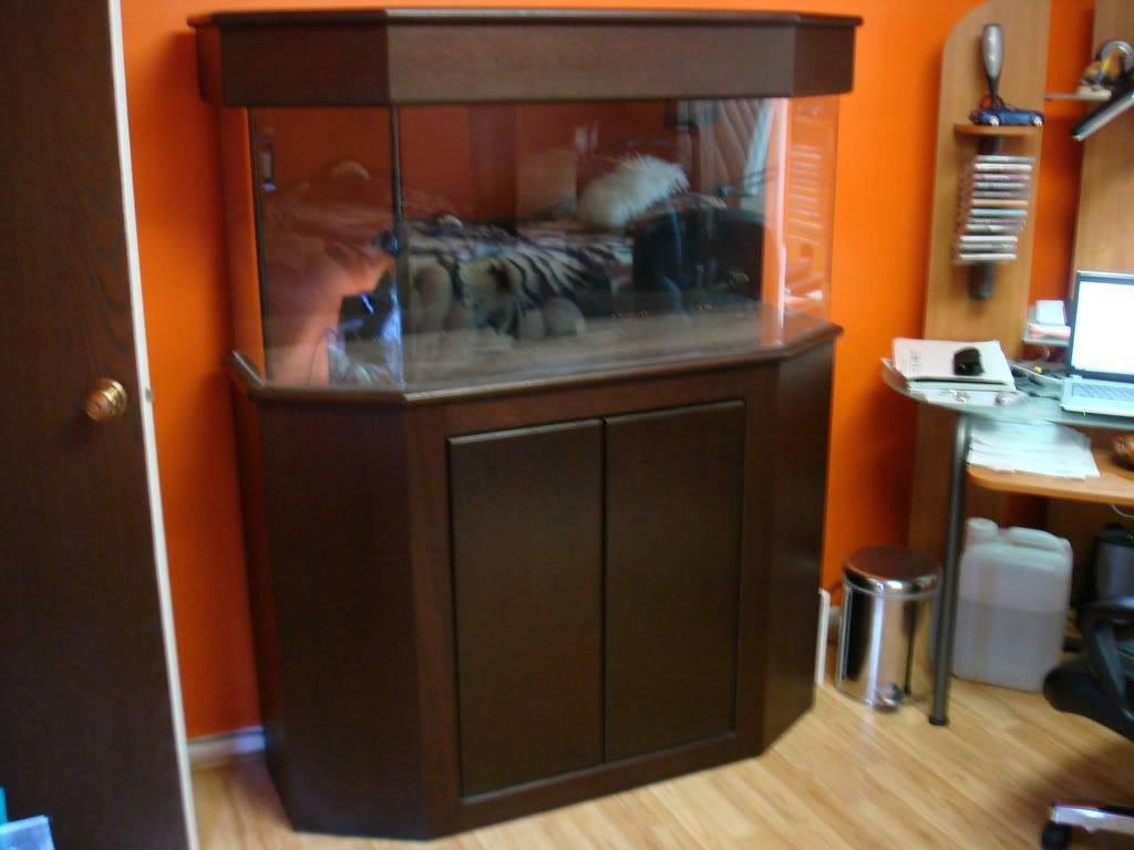 FS 75 gallon acrylic flat back hex tank, cherry stand / canopy IL