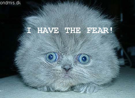 ihavethefear.jpg