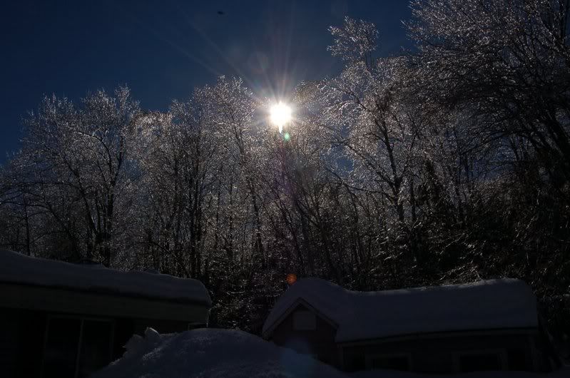 Dsc_0207s.jpg
