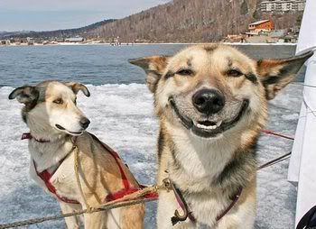 smiling dog thumb