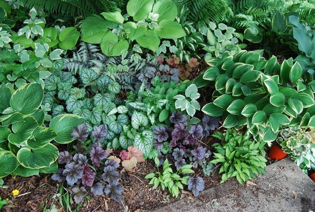  photo hostagard1_zps61cd98ee.jpg