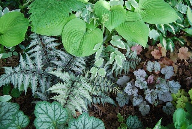  photo steelherc_zps380bcd06.jpg