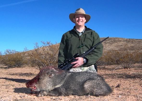 Javelina1.jpg