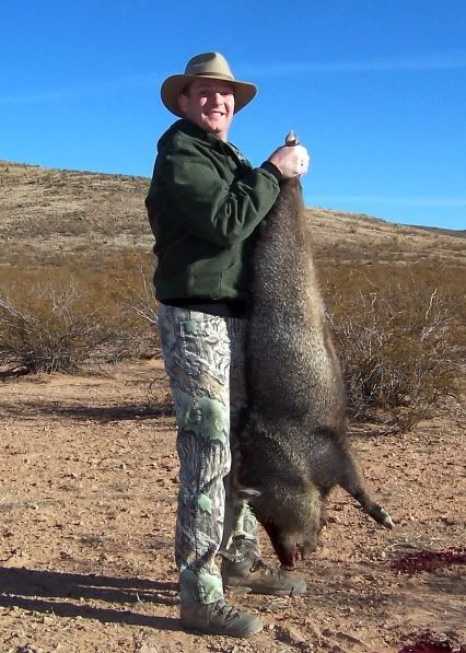 Javelina2.jpg