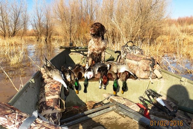TroyJamieLizzie02Jan2016Ducks-_zpspmom8atc.jpg