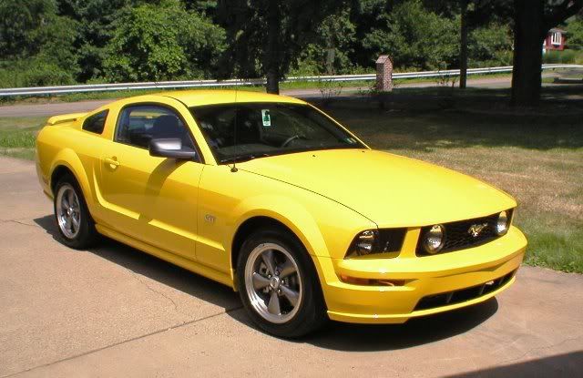 http://img.photobucket.com/albums/v108/TavisB94XJ/05%20Mustang%20GT/05GTe.jpg