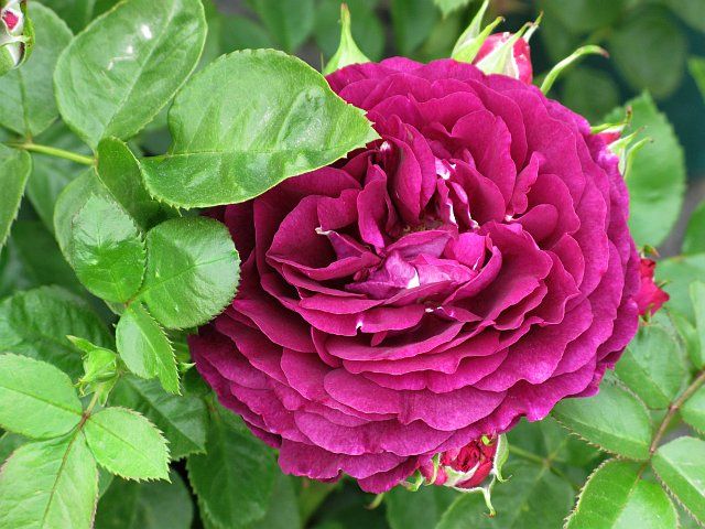  photo 1TwilightZoneIMG_0551640wide_zps043ab3d1.jpg