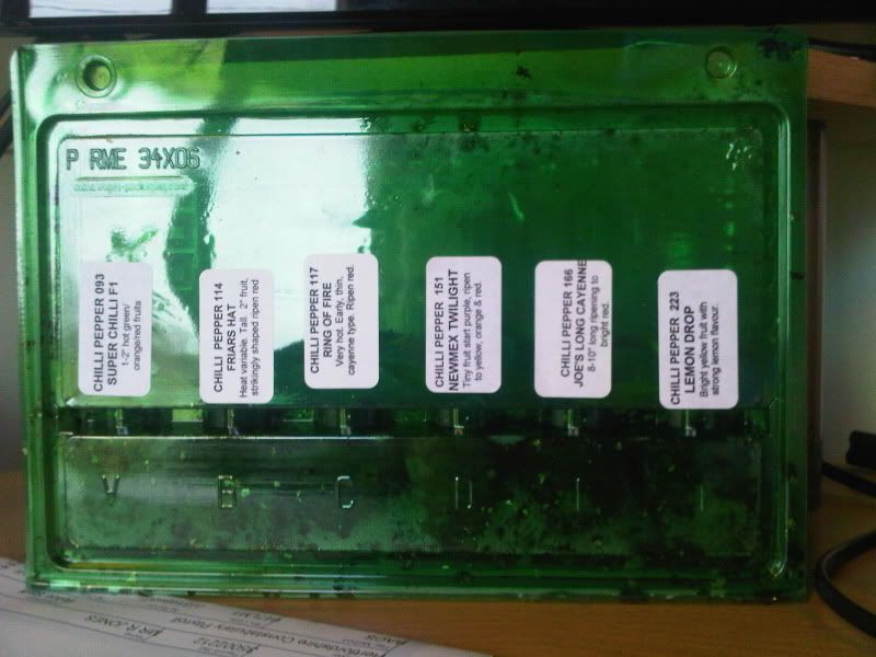 IMG00204-20100407-1522.jpg