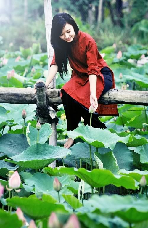Midu, hot girl, lotus