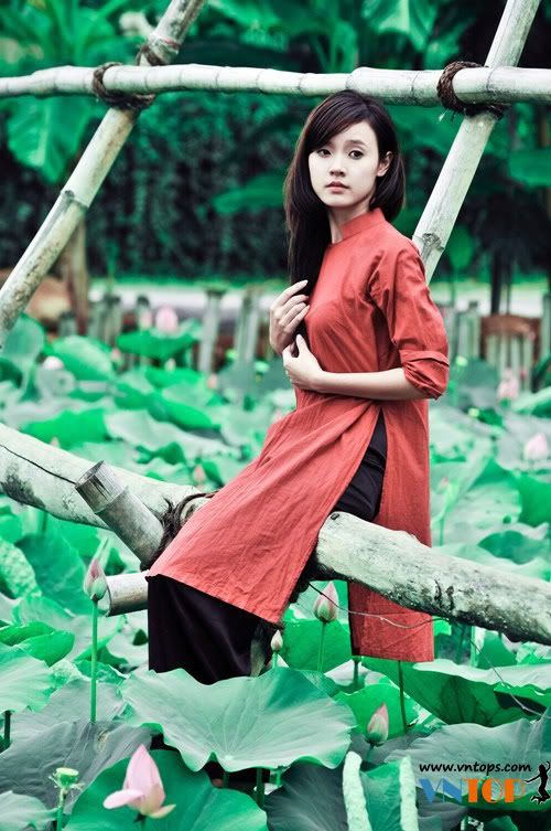 Midu, hot girl, lotus