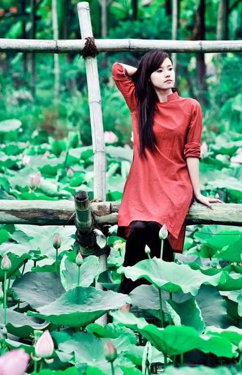 Midu, hot girl, lotus