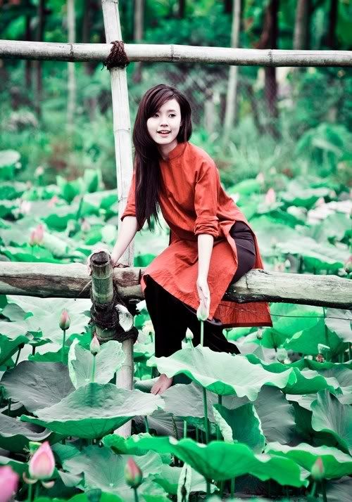 Midu, hot girl, lotus