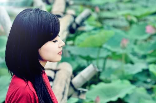 Midu, hot girl, lotus