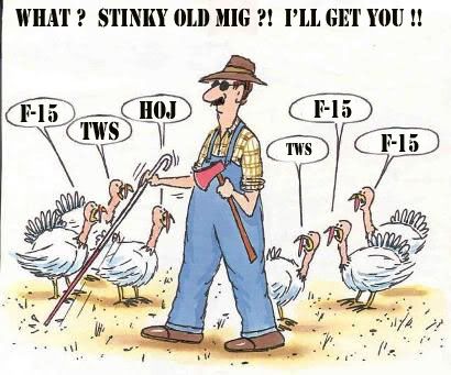 Mig_Pilot.jpg