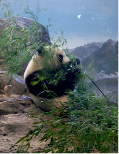 TaiShan2.jpg