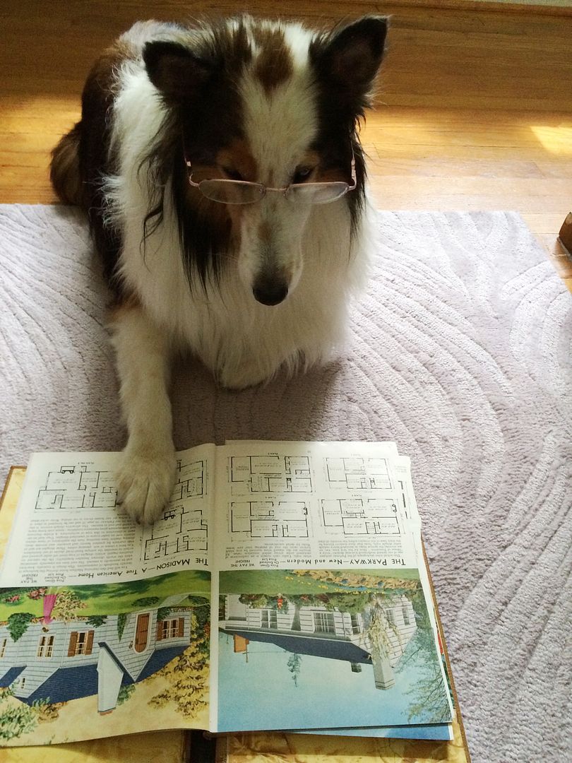 I asked Teddy for her help, but she got distracted by the many attractive models offered in the 1953 catalog. 
