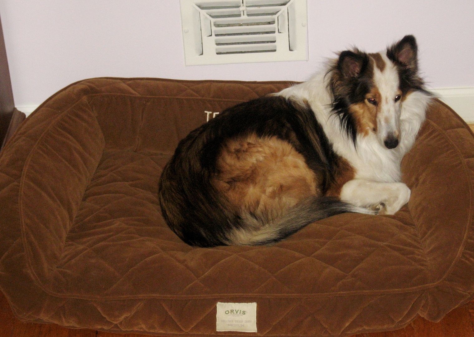 Doesnt *every* dog have a monogrammed bed from Orvis? :)