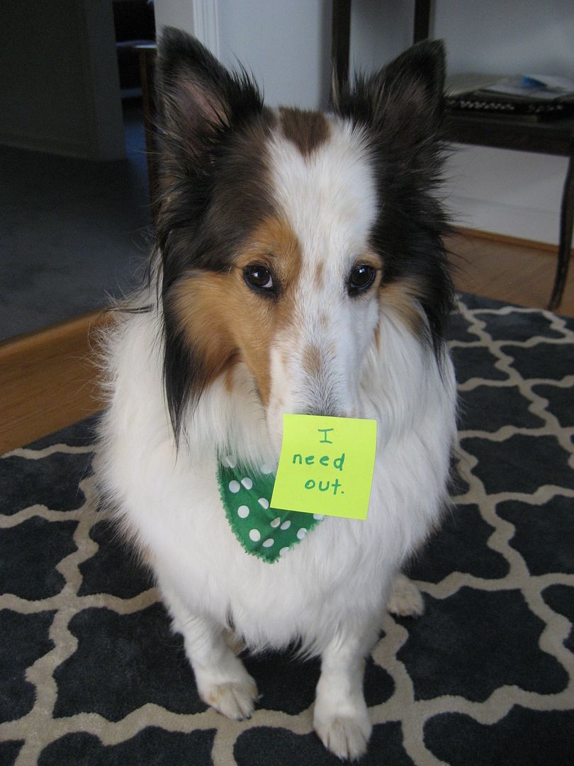 Early on, Teddy figured out that post-it notes were the best way to get my attention. 