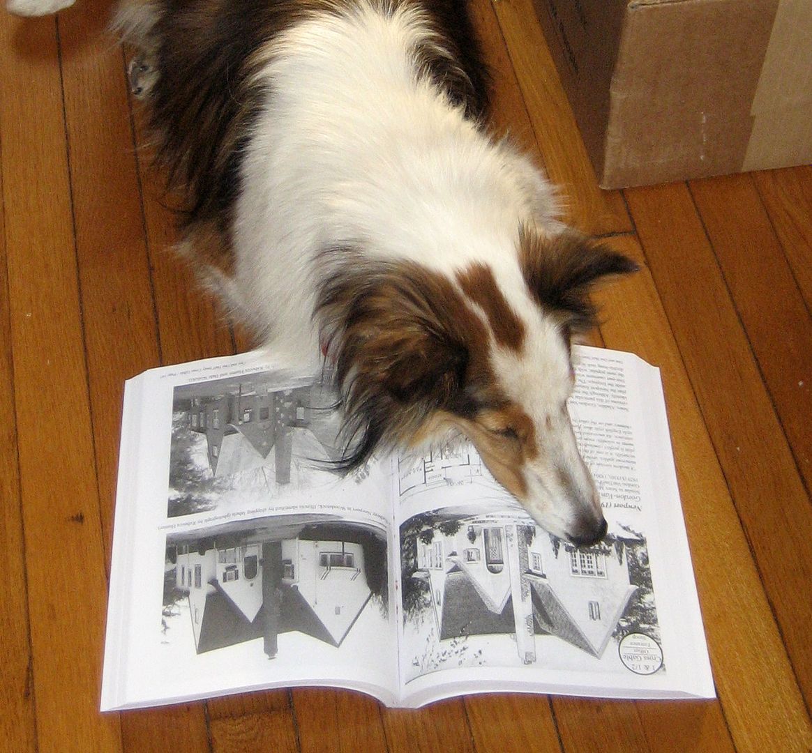 Teddy loves learning about kit homes. She spends much of her spare time reading The Mail-Order Homes of Montgomery Ward, and she can be a great help when were out hunting for kit homes.