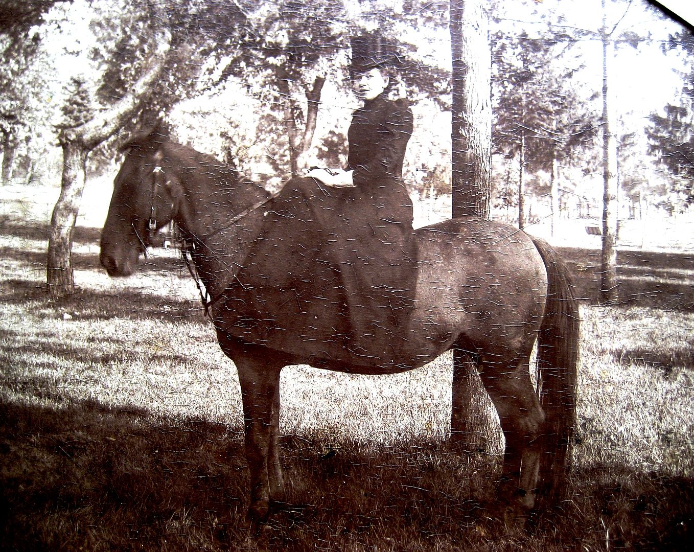 This photo was taken in the early 1890s in Lake Mills. It was titled Addie and her pony. I found it at the Lake Mills Library. 