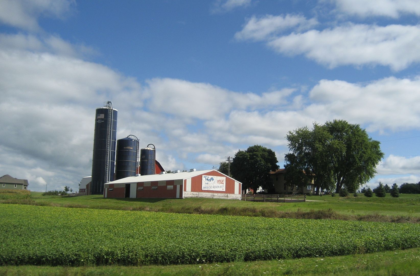 Pretty much every meal Ive had in Wisconsin has involved cheese of some form - and I LIKE IT!  Wisconsin is full of beautiful landscapes such as this dairy farm just outside of Oconomowoc.