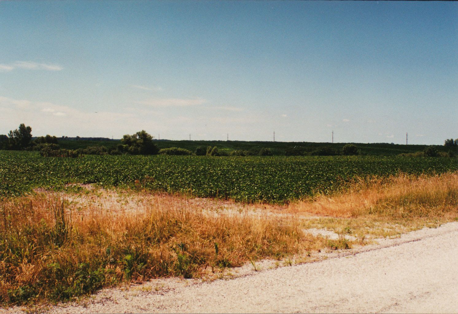 This photo was taken in 2002, and it shows that all the remains of John McMillans Gladstone is a little dip in the soil and a short piece of driveway.  