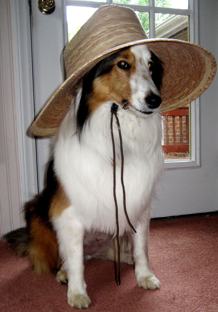 Like any good southern lady, Teddy uses a broad-rimmed hat to preserve her flawless complexion.