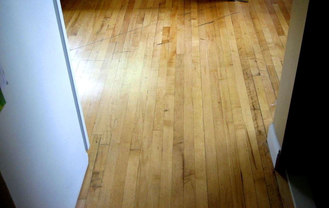 Most Sears kit homes had maple floors in the kitchen and bath (underneath tile and other floor coverings). The owners of the Elmhurst tried to restored the maple floor in their kitchen but it was too far gone. 