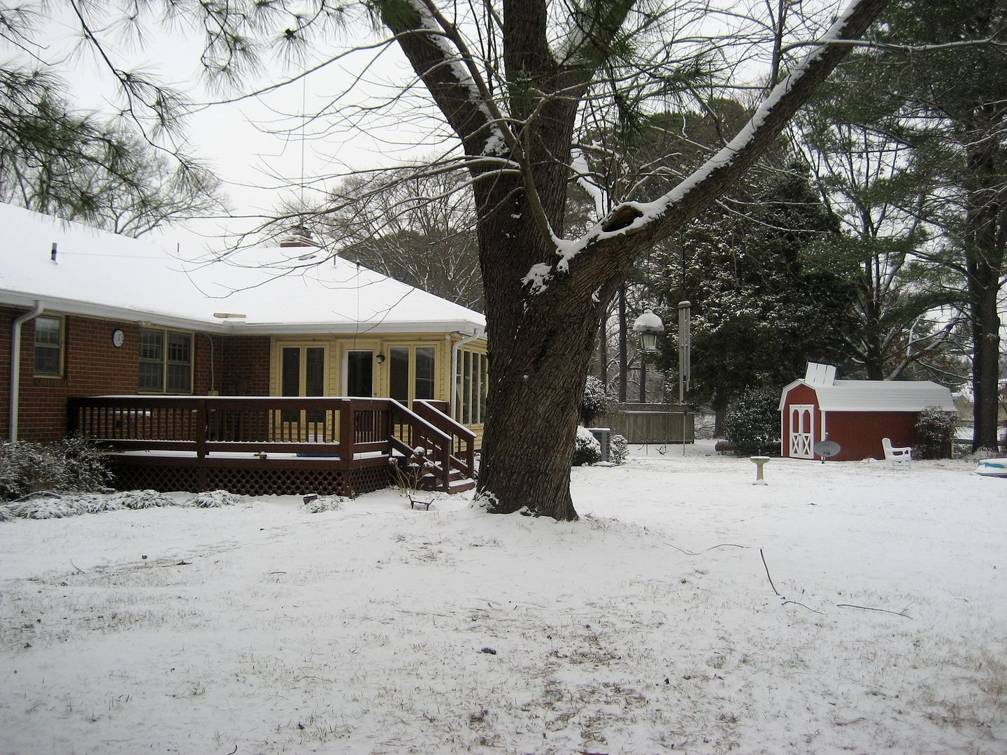 A view of the backyard