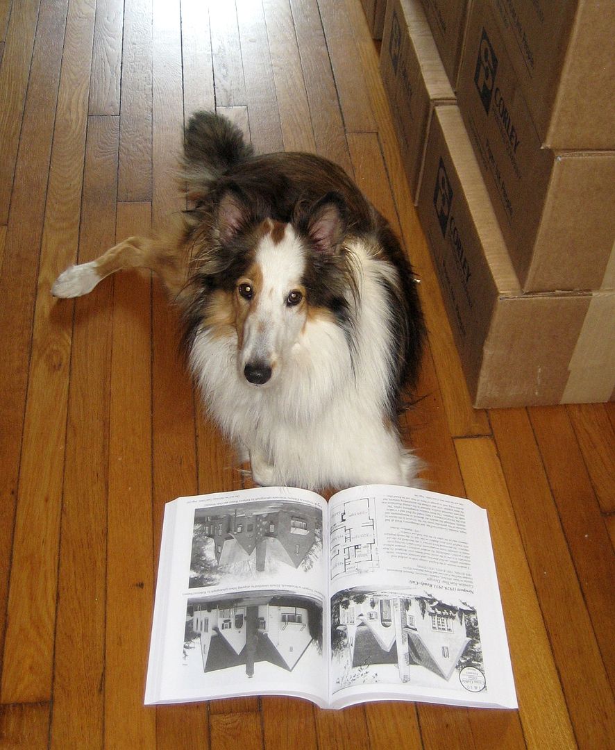 The graphics and pictures in this book are so great that even Teddy the Dog loves to sit down and browse the pages. 