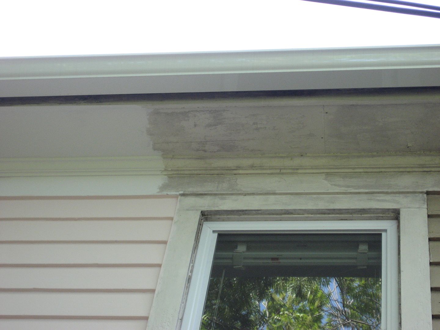 Close-up of dirty eaves