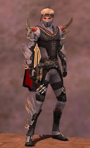 Guild Wars Assassin Armor on Your Favorite Assassin Armor   Worlds Of Greeters