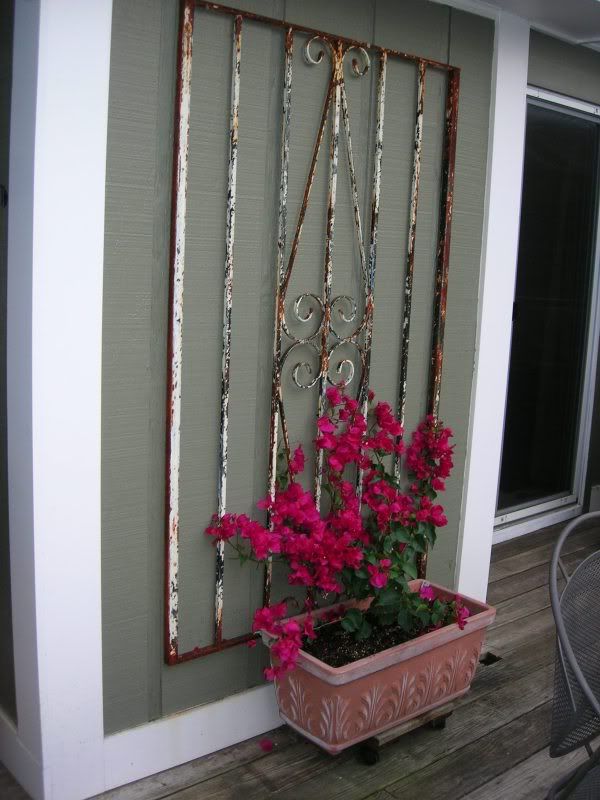 Can you a trellis plant deck/pot