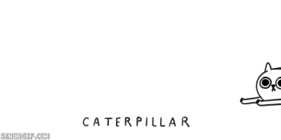 caterpillar.gif