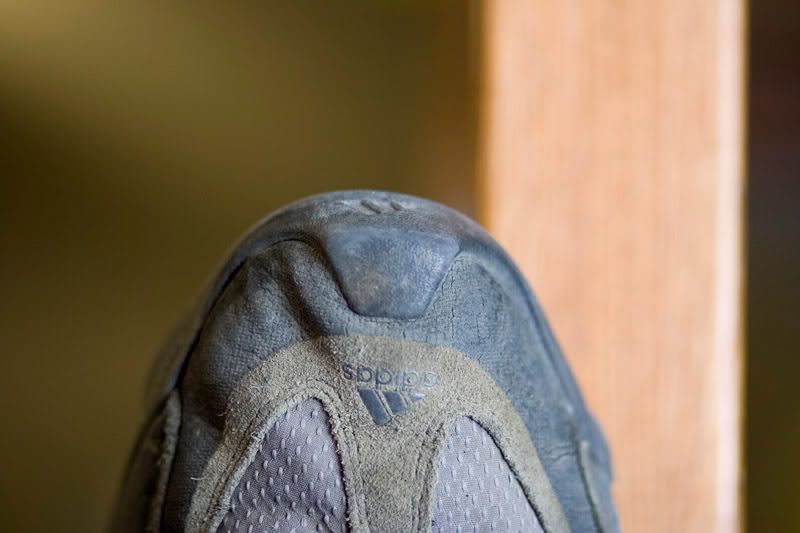 IMAGE: http://img.photobucket.com/albums/v109/angryhampster/artistic/shoe.jpg