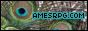 AMESRPG.COM