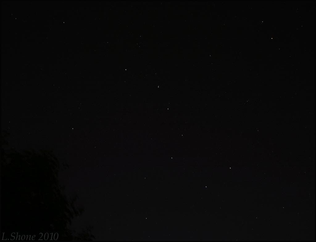 IMAGE: http://img.photobucket.com/albums/v11/Dawnrider/Astro%20pics/ursa-major.jpg