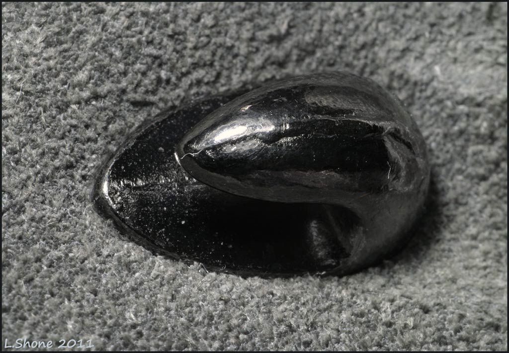 IMAGE: http://img.photobucket.com/albums/v11/Dawnrider/Photographic/Macro%20and%20Close%20up/boot01.jpg