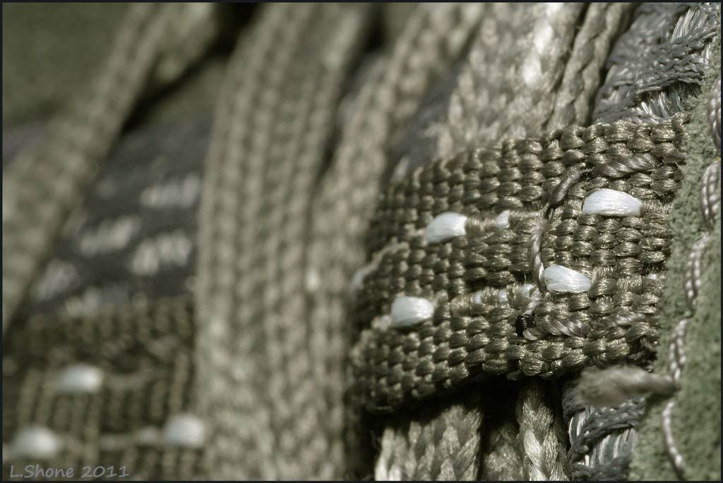 IMAGE: http://img.photobucket.com/albums/v11/Dawnrider/Photographic/Macro%20and%20Close%20up/boot04.jpg